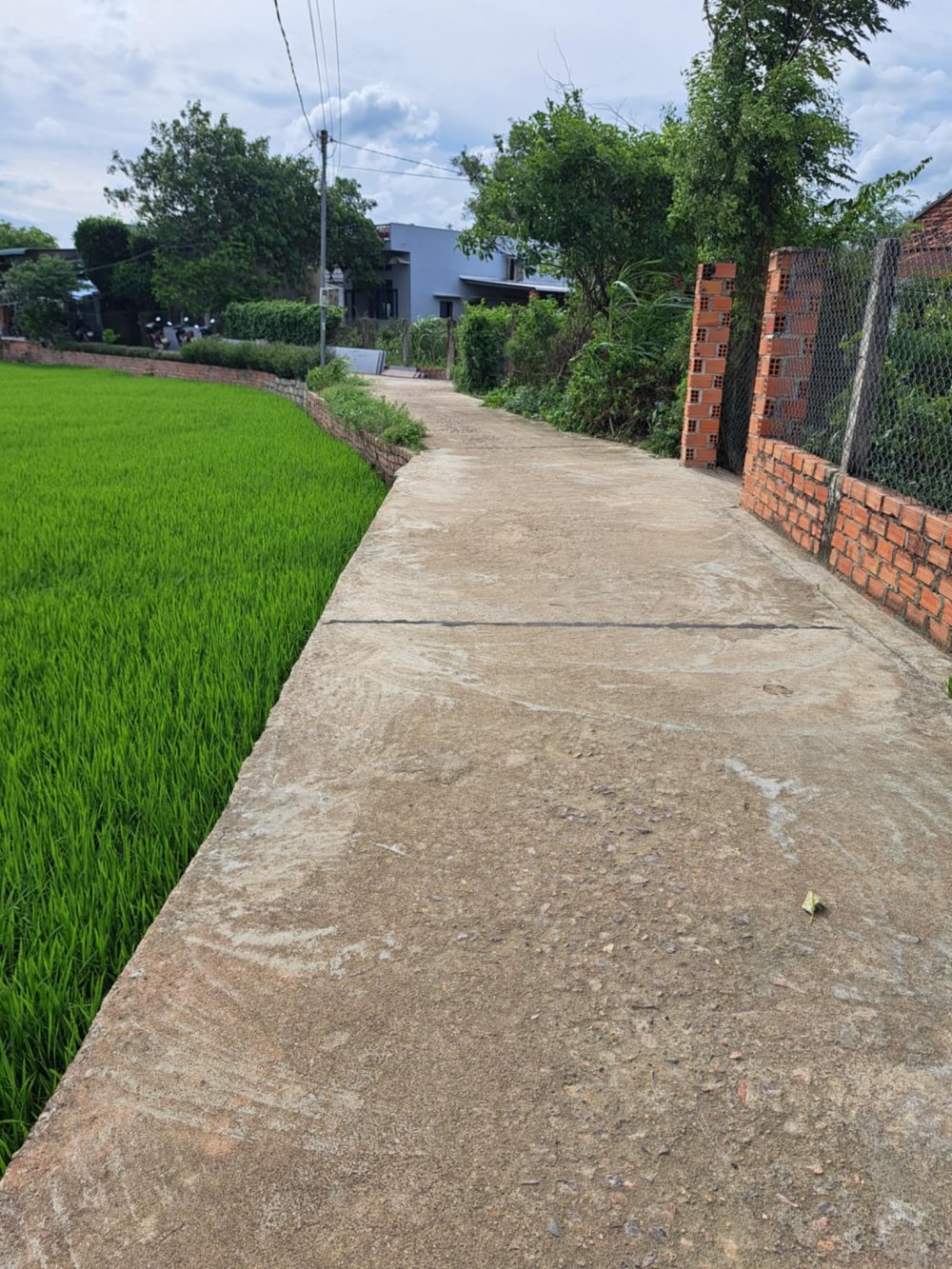 🔰🔰🔰Bán lô đất 132,7m2 ( 100m2 thổ cư) tại Xuân Phương, Phước Sơn, Tuy Phước. 🔰🔰🔰Bán lô đất 132,7m2 ( 100m2 thổ cư) tại Xuân Phương, Phước Sơn, Tuy Phước.