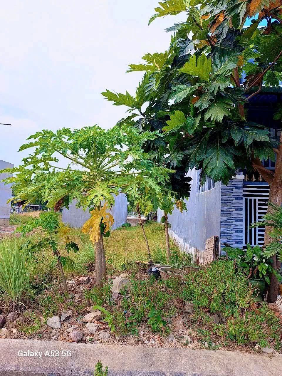 🏡 CHÍNH CHỦ BÁN LÔ ĐẤT ĐẸP 100M² - VỊ TRÍ ĐẮC ĐỊA, PHƯỜNG NHƠN HƯNG, TX AN NHƠN, BÌNH ĐỊNH 🏡