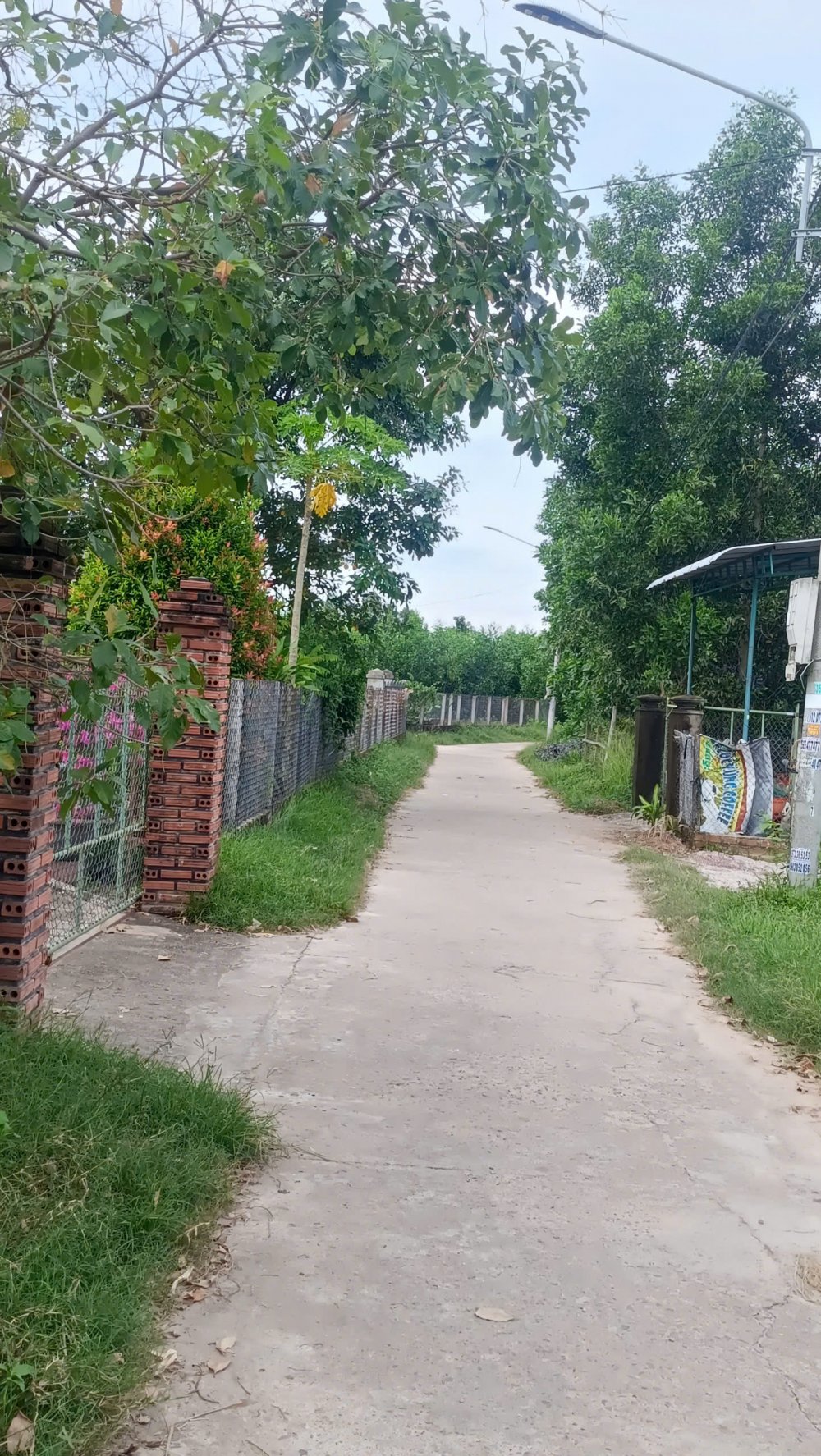 ✨ BÁN LÔ ĐẤT ĐẸP NỞ HẬU NHẸ – GIÁ TỐT TẠI NAM TƯỢNG 3, AN NHƠN TÂY, GIA LAI ✨ ✨ BÁN LÔ ĐẤT ĐẸP NỞ HẬU NHẸ – GIÁ TỐT TẠI NAM TƯỢNG 3, AN NHƠN TÂY, GIA LAI ✨