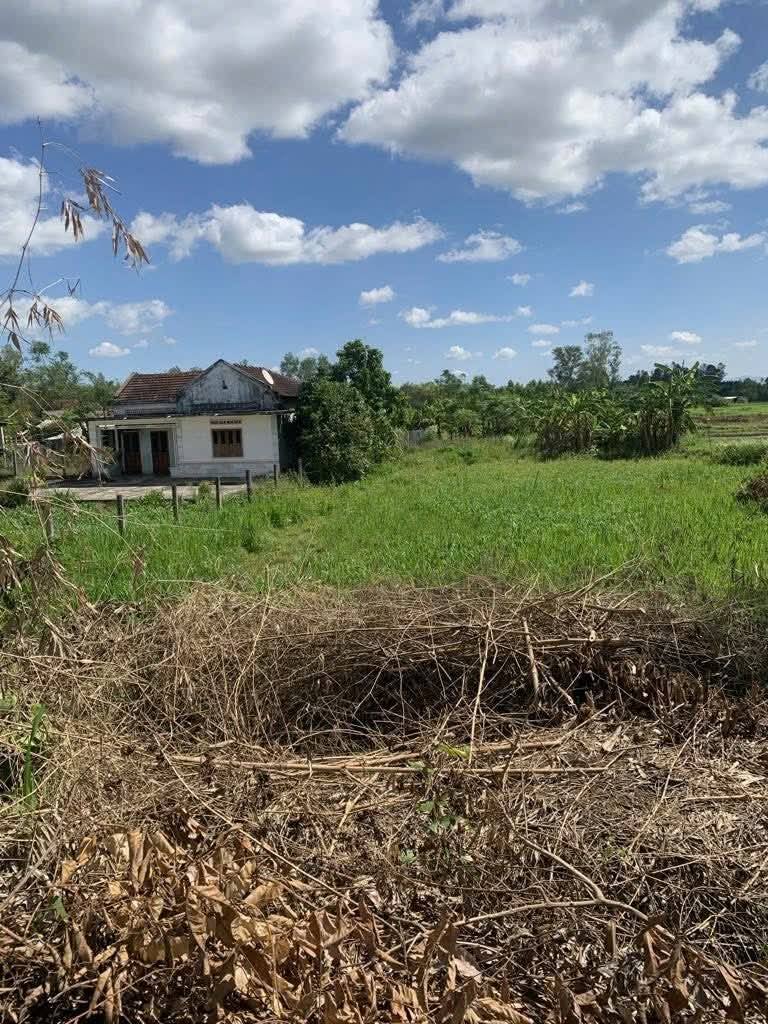 BÁN LÔ ĐẤT VƯỜN GẦN 1000M2 ( THỔ CƯ 100M2) TẠI NHƠN TÂN, AN NHƠN BÁN LÔ ĐẤT VƯỜN GẦN 1000M2 ( THỔ CƯ 100M2) TẠI NHƠN TÂN, AN NHƠN