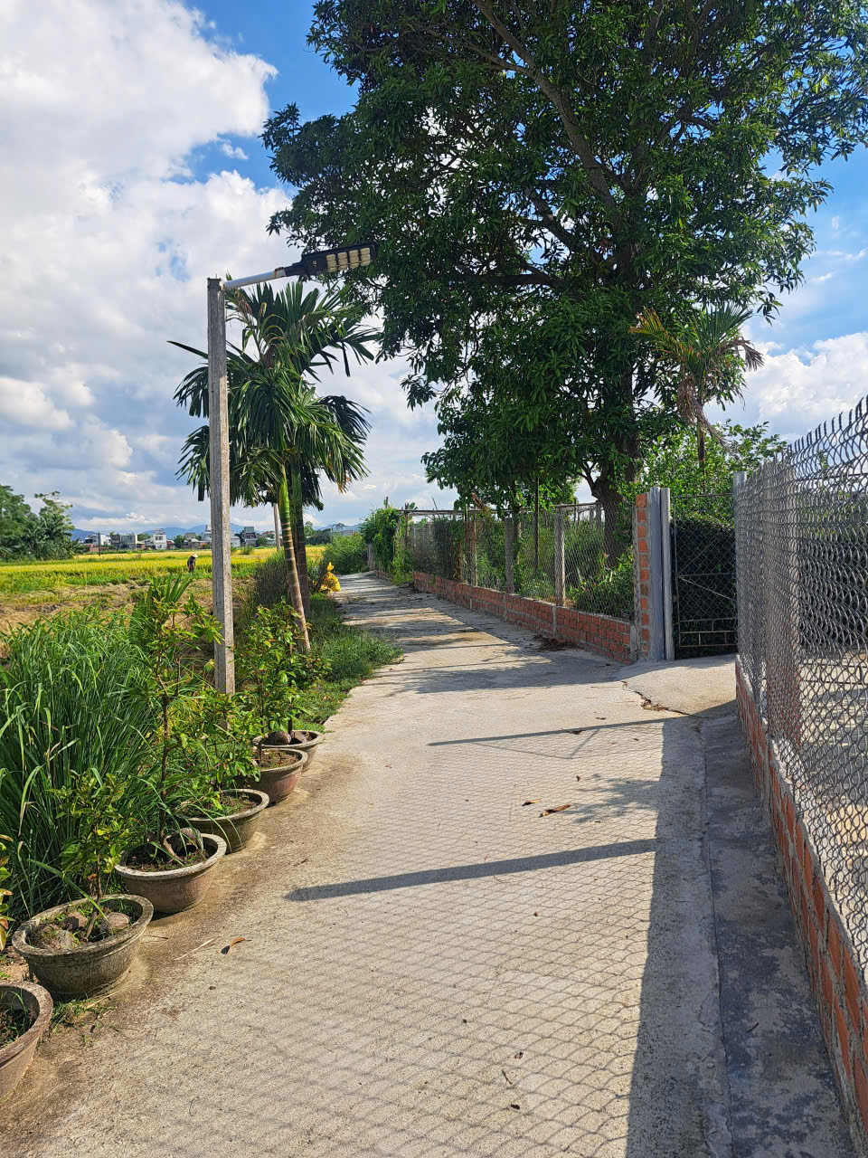 CHÍNH CHỦ CẦN BÁN LÔ GÓC 2 MẶT VIEW CÁNH ĐỒNG LÚA TẠI LƯƠNG LỘC, PHƯỚC HƯNG